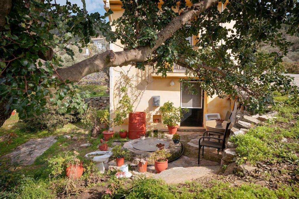 Beautiful Cottage Over-Viewing Samos Bay. المظهر الخارجي الصورة