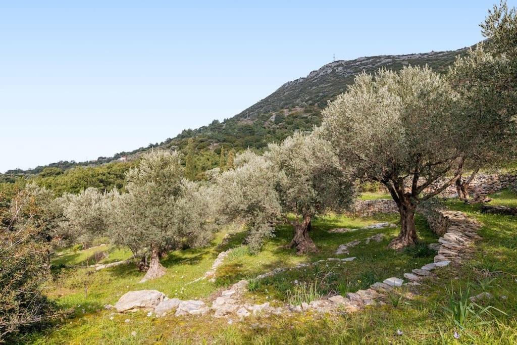 Beautiful Cottage Over-Viewing Samos Bay. المظهر الخارجي الصورة