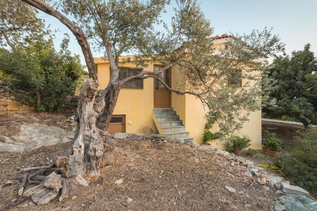 Beautiful Cottage Over-Viewing Samos Bay. المظهر الخارجي الصورة